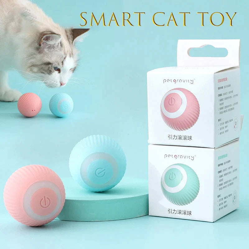 Bolinha interativa para gatos - Tik Ofertas 