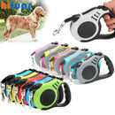 Coleira para cães - Tik Ofertas 